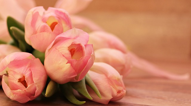 fleurs orange
